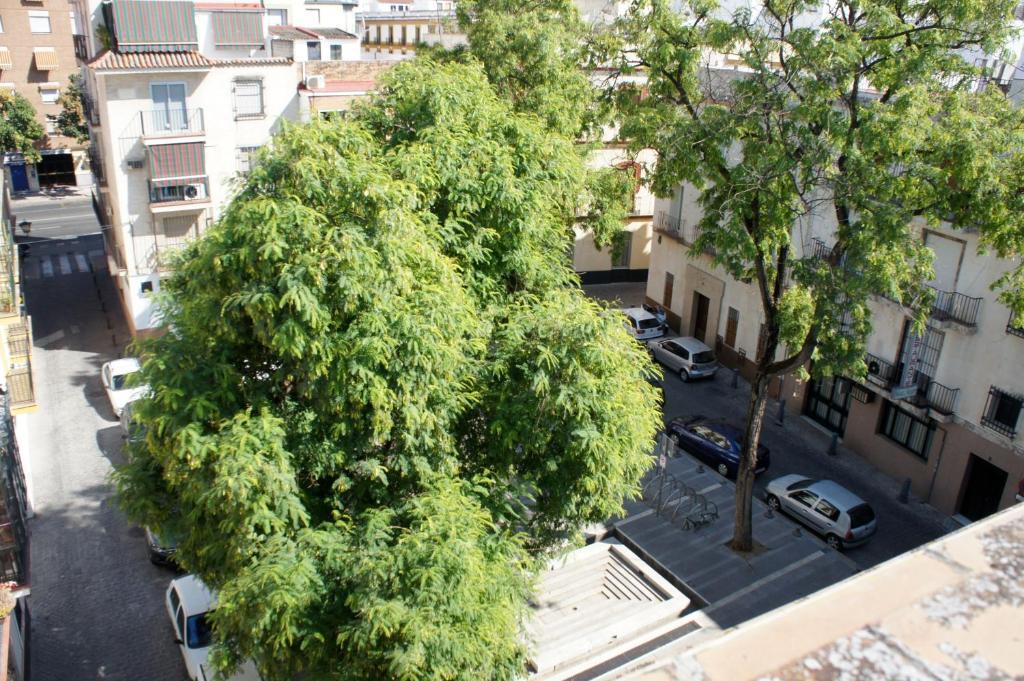 Pension Perez Montilla Sevilla Exteriér fotografie